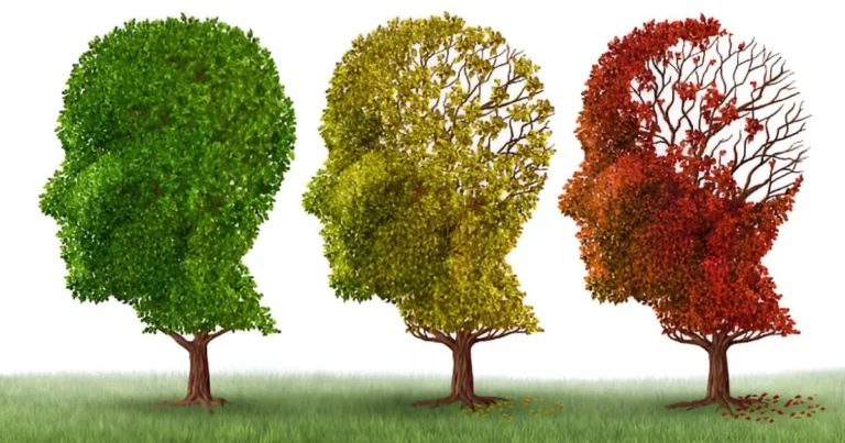 L’hiver de la mémoire : Quand le cerveau vieillit
