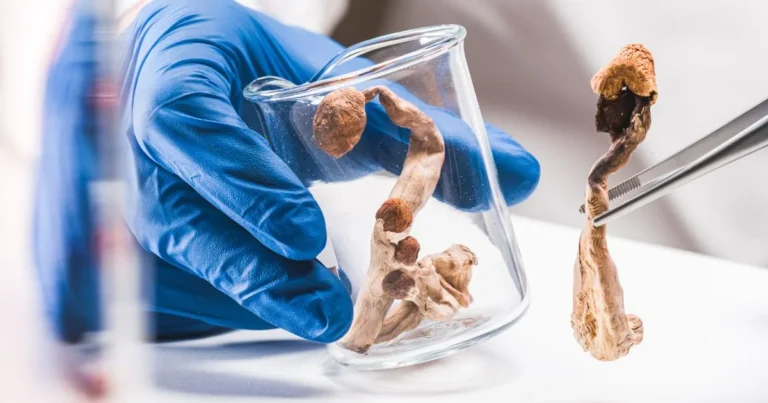 Can psychedelics heal the mind?