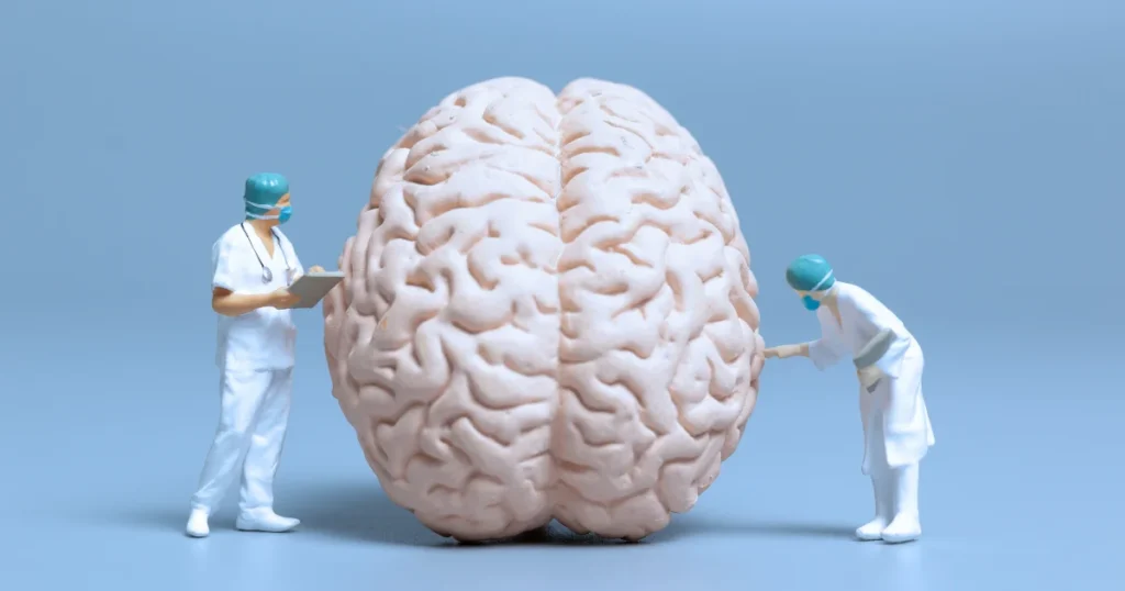 Comment fonctionne le cerveau humain ?