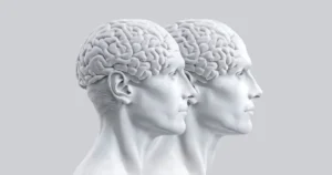 Le cerveau n’est jamais seul :  Repenser le cerveau à partir de la présence des autres 